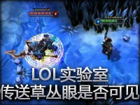 LOL实验室：传送草丛眼是否可见？