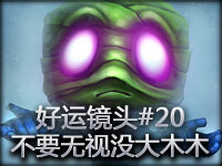 好运镜头#20 不要无视没大木木