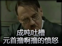 成吨吐槽 **撸啊撸 成吨的愤怒