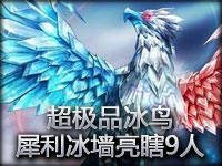 超极品冰鸟：史上最犀利冰墙亮瞎其余9人