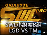 SWL小组赛B组：LGD VS TM第二场