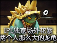 17173独家：IPL场外花絮剪辑集锦 两个人大的龙龟