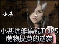 小苍出品：坑爹集锦TOP5第18期 萌物提莫的逆袭