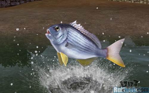 清风明月最新图片