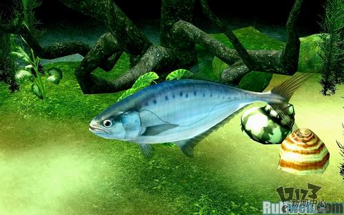 清风明月最新图片