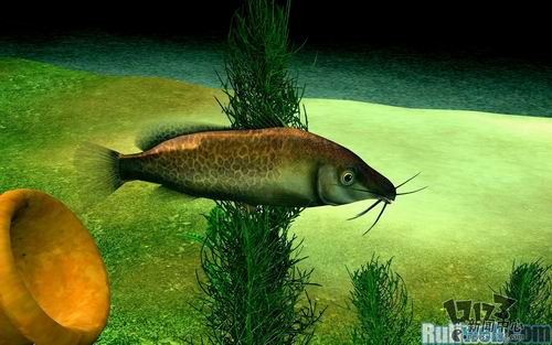 清风明月最新图片