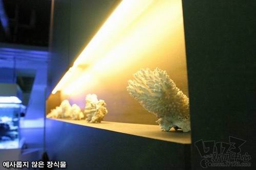 DOOBIC����ͼƬ