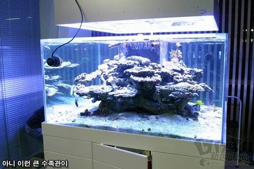 DOOBIC����ͼƬ