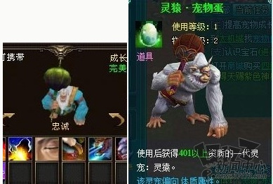 天龙囧闻最新图片