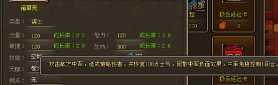 龙将武将诸葛亮