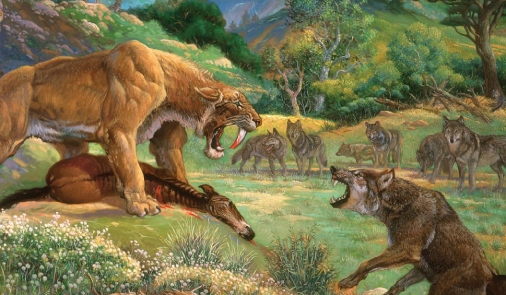 时日曷丧，予及汝偕亡—IS-8防护报告