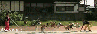 爆笑gif版：敌方队伍与我方队伍的差别