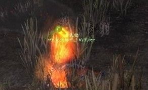 猎人又有福利了：新宝宝惹眼火焰猪入手方法