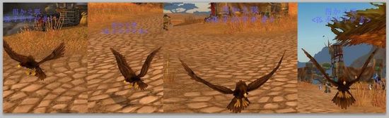 国服任务中可得的小老鹰宠物 你是否知道呢?