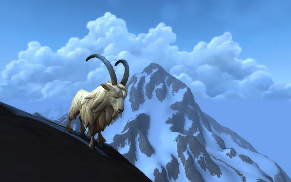 已有小宠物可以变强：设计师为你揭秘宠物对战