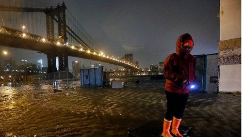 暴雪再做慈善：火猫宝宝销售额将捐献飓风受害者