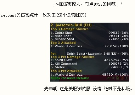 熊猫服疑用猎人千万秒伤BUG拿到服务器首杀