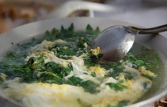 植物学大师手记 佛罗伦娜的草药学笔记（下）