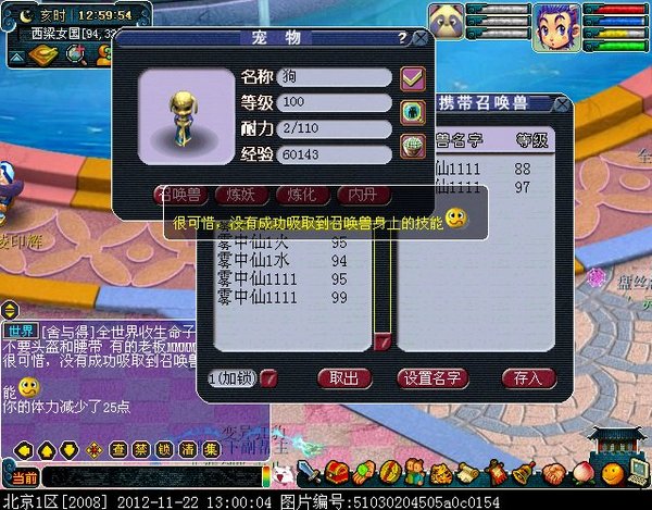 梦幻西游吸附石