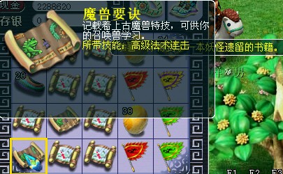 梦幻西游五宝直播