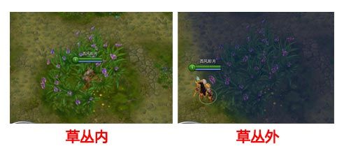 草丛内外视野差异