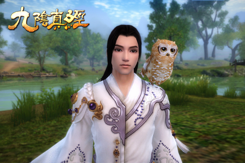 九阴真经猫头鹰