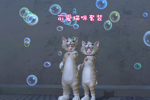 喵星人驾到 超萌猫咪外形套装新品上架