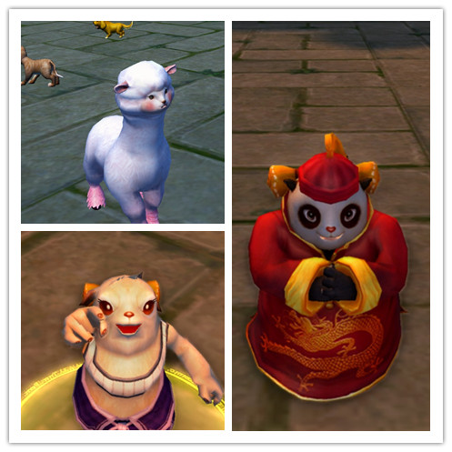 感觉礼包清凉迎盛夏 限时特惠不容错过