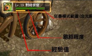 宠物养成