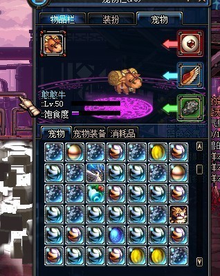 DNF专业宠物养殖户