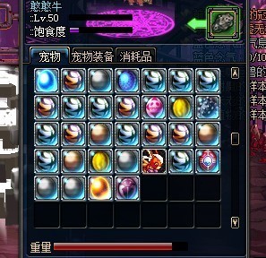 DNF专业宠物养殖户