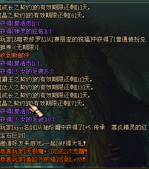 DNF雪隐之冬礼盒