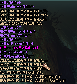 DNF雪隐之冬礼盒