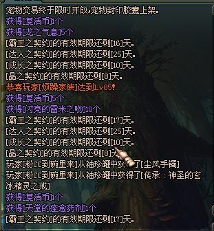 DNF雪隐之冬礼盒