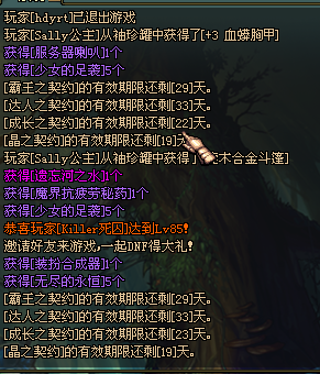 DNF雪隐之冬礼盒