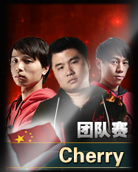 2013年第三届F1天王赛中国选手介绍