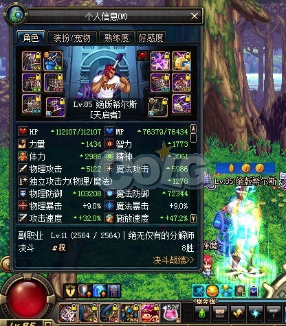 如何堆到体精极限？辅助流圣骑士装备搭配