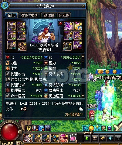 如何堆到体精极限？辅助流圣骑士装备搭配