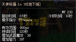 如何堆到体精极限？辅助流圣骑士装备搭配