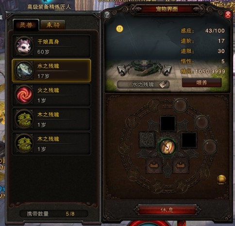 宠物.jpg