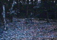 《乱入玛莉欧》你们还是在你们的世界就好啦XD