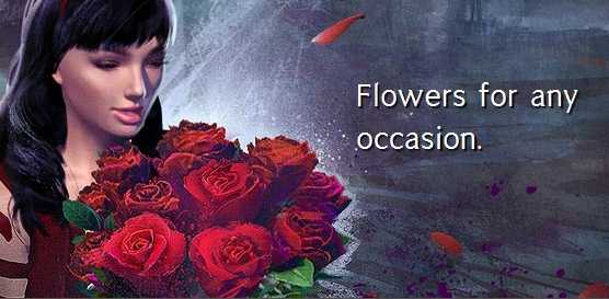 激战2新更新玩具饰品“捧花”介绍