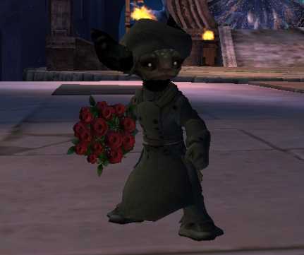 激战2新更新玩具饰品“捧花”介绍