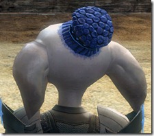 gw2-twilight-assault-hairstyles-asura-male-2-3