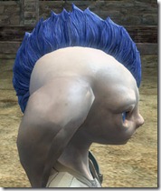 gw2-twilight-assault-hairstyles-asura-male-3-2