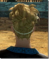 gw2-twilight-assault-hairstyles-norn-female-3-3