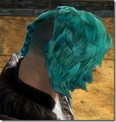 gw2-twilight-assault-hairstyles-norn-male-1-2
