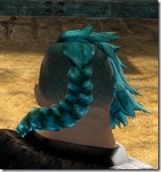 gw2-twilight-assault-hairstyles-norn-male-1-3