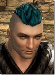 gw2-twilight-assault-hairstyles-norn-male-2-1