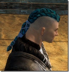 gw2-twilight-assault-hairstyles-norn-male-2-2